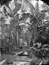 Annam, Cochin China (Vietnam), 1867. Creator: John Thomson.