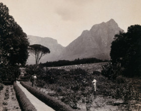South Africa: Cecil Rhodes's garden near Devil's Peak in Johannesburg, 1896. Creator: Unknown.