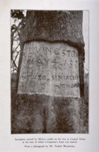 Tree in central Africa where David Livingstone's heart is buried, showing the inscription.., c1900. Creator: Unknown.
