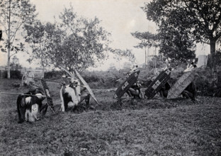Sarawak: five Kenyah warriors in a warfare ritual, c1900. Creator: Unknown.