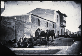 Cyprus, a camel caravan,  1981 (from a negative of 1878). Creator: John Thomson.