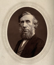 John Tyndall, late 19th century.  Creator: Lock & Whitfield.