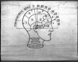 Phrenology: the human and animal brain, the location of its functions..., c1840s. Creator: Unknown.