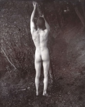 A man posing naked, with his back to the camera, holding on to a branch of a tree, c1900. Creator: Unknown.