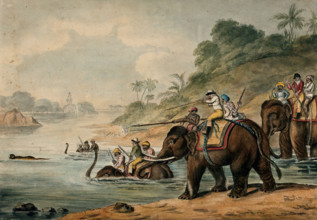 Tiger hunting in India: men riding elephants shoot at a tiger that tries to escape by..., 1800-1809. Creator: Samuel Howitt.