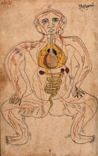 The viscera and the venous system, (between 1800 and 1899?). Creator: Unknown.