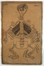 Bones of the human body, (between 1800 and 1899?). Creator: Unknown.