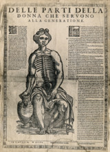 A fugitive sheet of a seated female figure, her hand resting on a vase, with her thorax and..., 1611 Creator: Unknown.