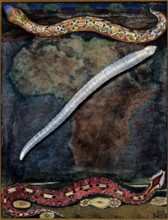 Parasites: a parasitical worm, shown much enlarged, with its hosts, c1930. Creator: J Svoboda.