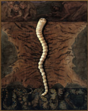 Parasites: a parasitical worm, shown much enlarged, with its hosts, c1930. Creator: J Svoboda.