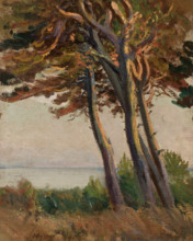 Pines at Polaga, 1908. Creator: Leon Wyczolkowski.