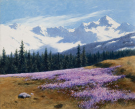 Crocuses with Snowy Mountains Behind, July 29, 1897. Creator: Stanislaw Witkiewicz.