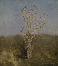 Carduus (plumeless thistles), 1885. Creator: Jan Stanislawski.