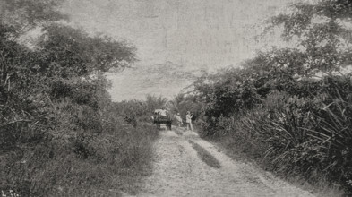 Morro road, Santiago de Cuba, Cuba, 1898. Creator: Unknown.