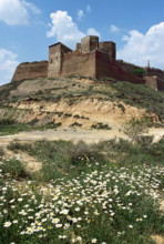 Monzón Castle, Aragon, Spain. 2008.  Creator: LTL.