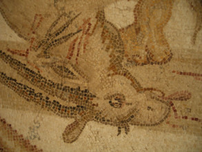 Mosaic, El Jem Museum, El Djem, Tunisia, 2009. Creator: Amanda Waite.