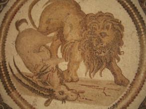 Mosaic, El Jem Museum, El Djem, Tunisia, 2009. Creator: Amanda Waite.