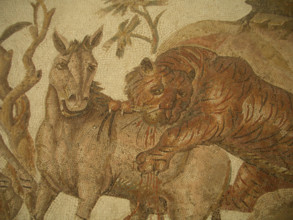 Mosaic, El Jem Museum, El Djem, Tunisia, 2009. Creator: Amanda Waite.