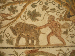 Mosaic, El Jem Museum, El Djem, Tunisia, 2009. Creator: Amanda Waite.
