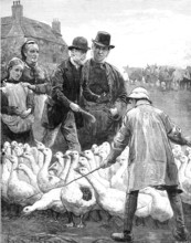 The Goose Club Committee - drawn by A. E. Emslie, 1881. Creator: Eugène Froment.