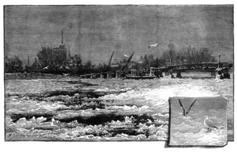Wintry weather on the Thames: the river at Putney, 1881. Creator: Unknown.