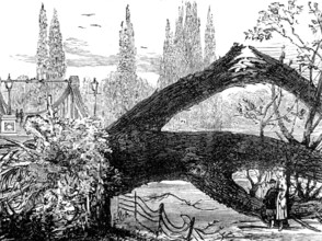 The Great Storm of Wind on Friday week: old elms blown down in St. James's Park, 1881. Creator: Unknown.