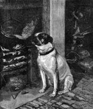 The Pleasures of Hope, by G. L. Harrison, 1881. Creator: John Greenaway.