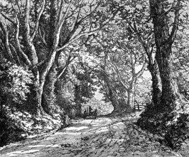 An English lane: from "Autumnal Leaves" (Sketches in the New Forest), 1881. Creator: James Davis Cooper.