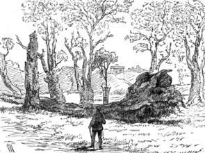 The Great Storm of Wind on Friday week: a tree uprooted near the bridge, Eton, 1881. Creator: Unknown.