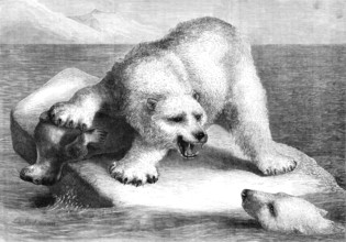 A Disputed Claim, 1881. Creator: Ludwig Beckmann.