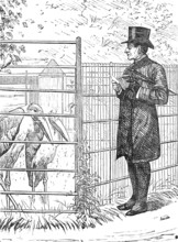 Sketch of a picture in the Royal Academy Exhibition: An Episcopal Visitation, H. S. Marks R.A., 1881 Creator: Unknown.