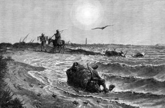 The Cholera in Egypt: its source and cause - scene on the shore at Damietta..., 1883. Creator: Unknown.