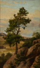 Stone Pine, before 1870. Creator: Heinrich Grabinski.