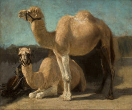 Two Camels, between 1852-1853. Creator: Henryk Rodakowski.
