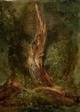 Volhynian Forest, c1864. Creator: Jozef Szermentowski.