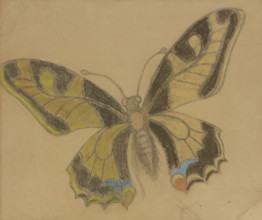 Butterfly (Old World Swallowtail), 1897-1898. Creator: Stanislaw Wyspianski.