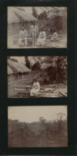 Huts at Coolies Lines Hill Bank, Belize, 1900.  Creator: Unknown.