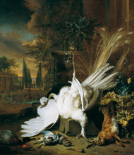 The white peacock, 1693. Creator: Weenix, Jan, the Younger (1642-1719).
