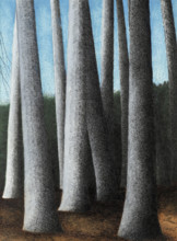Beech Trees Trunks, 1945. Creator: Spilliaert, Léon (1881-1946).