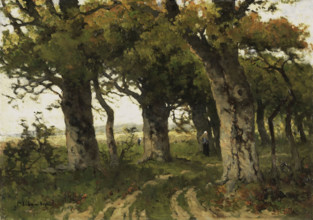 Avenue of Oaks in Late Summer, Between 1880 and 1900. Creator: Bilders-van Bosse, Maria (1837-1900).