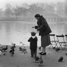 Woman and a young boy feeding the ducks and birds on the edge of the Serpentine, Hyde Park, 1960-70. Creator: John Gay.