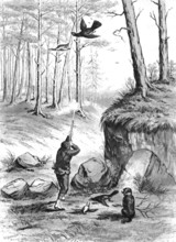 Shooting pheasants, 1883. Creator: H. Parsons.