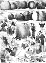 Sketches at the Apple Congress at Chiswick, 1883. Creator: Unknown.