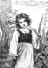 Meadow-Sweet by F. Morgan:...Institute of Painters in Oil Colours, 1883. Creator: Unknown.