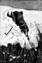Lost!, drawn by S. Berkley, 1883. Creator: Eugène Froment.