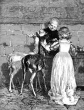 Pets of the House: A Christmas Feast, drawn by Percy Tarrant, 1883. Creator: Unknown.