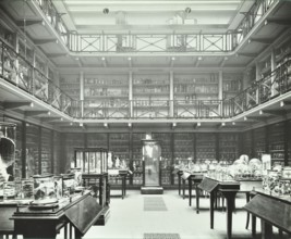 39-43 Lincoln's Inn Fields, Westminster LB, London: Royal College of Surgeons, museum room 2, 1911. Creator: Unknown.