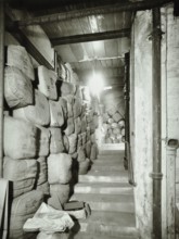 58 Petty France, Westminster LB, London: ramp from ground floor, 1972. Creator: Unknown.