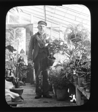 Kilternan Abbey - Golden Ball - Ireland, 1895. Creator: Robert Augustus Henry L'Estrange.