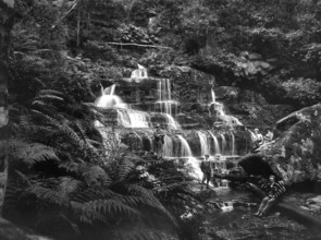 Waterfall, possibly Tamborine Mountain, Queensland, 1885. Creator: Robert Augustus Henry L'Estrange.